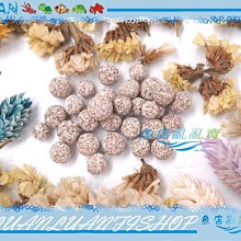 【~魚店亂亂賣~】德國Sera喜瑞S0710特級孔雀魚專用顆粒飼料100ml (增艷揚色) 歷史價格詳細信息