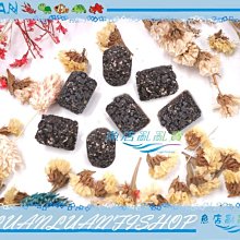 世界No.1的科學教育器材 littleBits Electronic Music Inventor Kit 吉他樂器發明家電路積木套件 歷史價格詳細信息