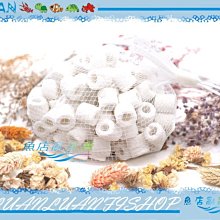 【魚店亂亂賣】精製 缸掛式(水滴型)水草CO2二氧化碳玻璃長期監測器LUANFISHOP 歷史價格詳細信息