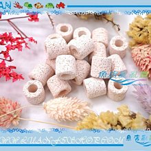 【魚店亂亂賣】生物科技高效率M號小型精密陶瓷環100g(散裝)培菌過濾濾材LUANFISHOP 歷史價格詳細信息