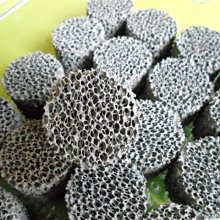 微笑的魚水族☆群立 SUPER1【遠紅外線細菌屋(蜂巢塊) 24個/散售】陶瓷環 大幅增強硝化菌繁殖 歷史價格詳細信息