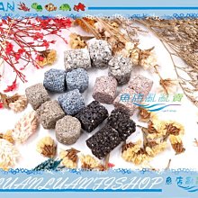 世界No.1的科學教育器材 littleBits Electronic Music Inventor Kit 吉他樂器發明家電路積木套件 歷史價格詳細信息