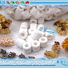 【魚店亂亂賣】ISTA外銷版頂級長效柱狀活性碳150g(活性炭)除臭.去毒.淨化水質台灣伊士達I-288 歷史價格詳細信息