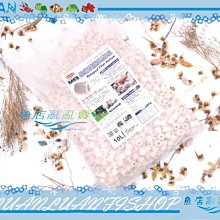 【魚店亂亂賣】生物科技高效率M號小型精密陶瓷環100g(散裝)培菌過濾濾材LUANFISHOP 歷史價格詳細信息