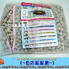 世界No.1的科學教育器材 littleBits Electronic Music Inventor Kit 吉他樂器發明家電路積木套件 歷史價格詳細信息