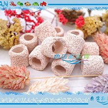 【~魚店亂亂賣~】LUANFISHOP三分管用連接L彎管上部過濾器三分管/3分配管(PVC管專用) 歷史價格詳細信息