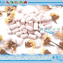 【魚店亂亂賣】生物科技高效率M號小型精密陶瓷環100g(散裝)培菌過濾濾材LUANFISHOP 歷史價格詳細信息