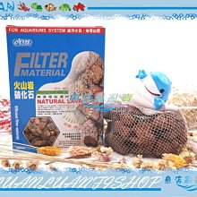 【魚店亂亂賣】ISTA小型微粒飼料60g(增艷配方)孔雀魚，燈科魚，球魚飼料台灣伊士達I-336 歷史價格詳細信息