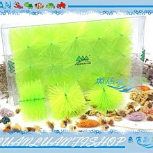 【~魚店亂亂賣~】LUANFISHOP三分管用連接L彎管上部過濾器三分管/3分配管(PVC管專用) 歷史價格詳細信息