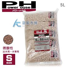 免運·陶瓷小魚陶笛6孔AC調初學六孔中音C調裂紋專業民 歷史價格詳細信息