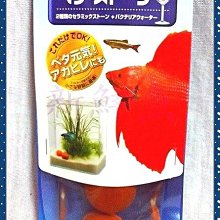 金魚/鬥魚/摩利孔雀魚食用產卵草mini 歷史價格詳細信息