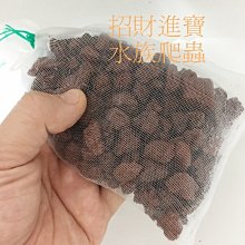 250ML 4Tips Cordless Water Flosser 1400-1800rpm Operated For Travel Home B3S3 歷史價格詳細信息