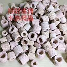 陶瓷環 1L 多孔 網袋 濾材 圓桶 硝化菌 底濾 桶 上部 過濾 器 水草 魚 缸 水族 水晶蝦 歷史價格詳細信息