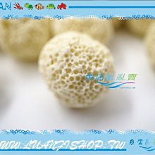 【~魚店亂亂賣~】LUANFISHOP三分管用連接L彎管上部過濾器三分管/3分配管(PVC管專用) 歷史價格詳細信息