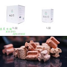 海威水族~ 升級款 不鏽鋼 入水網頭 / 炸彈頭 12mm / 16mm 小魚蝦被吸入 12/16  16/22 保護套 歷史價格詳細信息