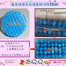 [B.Q.Q小舖]台灣製造-SUNPOLE DC變頻水陸兩用沉水馬達 VS-10500 節能遙控可調速(免運) 歷史價格詳細信息