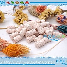 【魚店亂亂賣】生物科技高效率M號小型精密陶瓷環100g(散裝)培菌過濾濾材LUANFISHOP 歷史價格詳細信息
