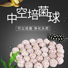 台北►►多彩水族◄◄奈米微孔《 奈米 中空球 》 魚缸 過濾 培菌 硝化菌 厭氧菌 陶瓷環 淨化 水質 上部過濾 圓桶 濾材 歷史價格詳細信息