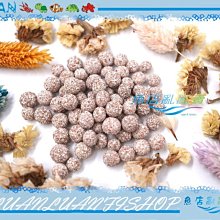 【魚店亂亂賣】EHEIM自由女神外掛專用生化石英球培菌濾板2041、2042適用伊罕原廠 歷史價格詳細信息