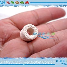 【魚店亂亂賣】生物科技高效率M號小型精密陶瓷環100g(散裝)培菌過濾濾材LUANFISHOP 歷史價格詳細信息