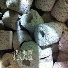 魚缸過濾材料陶瓷環過濾器魚池周轉箱水族硝化細菌屋專用凈水濾材 歷史價格詳細信息