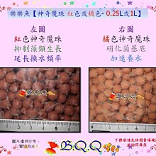 [B.Q.Q小舖]FishLive-樂樂魚【魔術球 12入】 歷史價格詳細信息