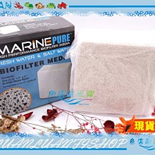 【魚店亂亂賣】美國BWA  15倍濃縮硝化菌 2L 啟動版XLM  活缸啟動劑BRIGHTWELL AQUATICS 歷史價格詳細信息