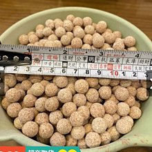 ［水族最便宜］小螃蟹低水位過濾器 200L/H 專用海綿插片2入/盒 歷史價格詳細信息