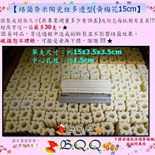 [B.Q.Q小舖]多孔隙培菌濾材~梅花型細菌屋濾材 梅花柱15cm~單支價(風險自付) 歷史價格詳細信息