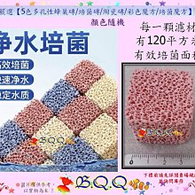 [B.Q.Q小舖]多孔隙培菌濾材~梅花型細菌屋濾材 梅花柱15cm~單支價(風險自付) 歷史價格詳細信息