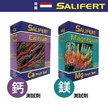 鎂的奇蹟（暢銷15年增訂•新增30％最新研究）：未來10年最受矚目的不生病營養素 歷史價格詳細信息