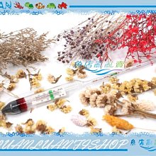 玻璃 比重計 高精準度 海水缸 軟體 河豚 娃娃 12cm  珊瑚缸 鹽度 計 測試 海水 汽水 域 素 海鹽 小丑魚 歷史價格詳細信息