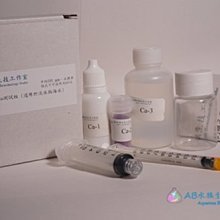 水族鈣反蠕動泵魚缸配件海水過濾循環泵12v水泵鈣反應器養魚用品 歷史價格詳細信息