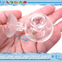 【魚店亂亂賣】精製 缸掛式(水滴型)水草CO2二氧化碳玻璃長期監測器LUANFISHOP 歷史價格詳細信息