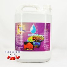 蝦兵蟹將【台灣-水平衡】水質護理系列 5000ml(5L)【一套】水質穩定劑/黑水營養劑/維他命添加劑/增酸劑/消化活菌 歷史價格詳細信息