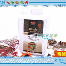 【魚店亂亂賣】水族先生全方位淨水硝化菌+全效水質穩定液魚體保護膜500ml(2種各1瓶組合)台灣製Mr.Aqua 歷史價格詳細信息