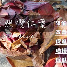 【現貨】仁悅腰椎四季護腰帶腰間盤鋼板支撐突出勞損輕薄透氣男女腰疼腰圍 歷史價格詳細信息