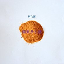 粉水晶【小蘋果粉晶項鍊】 桃花 鍍銀 水晶 人緣 情侶 開運 含開光 馥瑰馨盛NS0254 歷史價格詳細信息