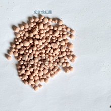 【光合果物】日本青森世界一蘋果 大顆11-12顆原裝箱(11-12顆/箱) 歷史價格詳細信息