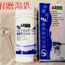 ~新鮮魚水族館~實體店面 AZOO愛族 極濃縮 最強 底床淨化活菌 硝化活菌 硝化粉 硝化菌 50億 100g 淡海水 價格比較,價格查詢,歷史價格詳細信息