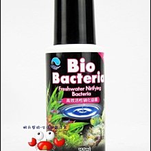 蝦兵蟹將【新加坡-OF 仟湖】AP095 高效能 空氣馬達【5000型】可調式 雙孔 打氣機 空氣幫浦 送氣泡石+止逆閥 歷史價格詳細信息