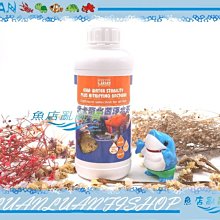 【魚店亂亂賣】EIKA伊卡-高效能硝化菌淨水劑1000ml硝化活菌(快速培菌)1L 歷史價格詳細信息