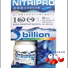 蝦兵蟹將【TEION 帝王】I-MK1901 超強靜打氣幫浦-1500型【1.5L/min/單孔/組】打氣機 歷史價格詳細信息