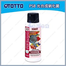 台北►►多彩水族◄◄奈米微孔《 奈米 中空球 》 魚缸 過濾 培菌 硝化菌 厭氧菌 陶瓷環 淨化 水質 上部過濾 圓桶 濾材 歷史價格詳細信息