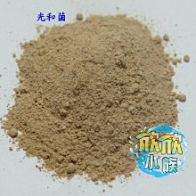 欣欣水族~AK82-Tropical波蘭德比克~(大.小兩種顆粒)特級【螺旋藻】強化薄餅1000ml 歷史價格詳細信息