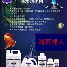 ＊海葵達人＊Red Sea 紅海 ReefMat 500型 自動捲棉器 過濾器 自動白棉機 歷史價格詳細信息