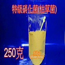 水波士(Water boss) 超級硝化菌粉 500g散裝 歷史價格詳細信息