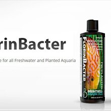 蝦兵蟹將【美國-BWA】W331 FlorinBacter 淡水專用硝化菌種【125ml/罐】 歷史價格詳細信息