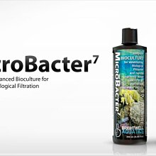 蝦兵蟹將【美國-BWA】W331 FlorinBacter 淡水專用硝化菌種【125ml/罐】 歷史價格詳細信息