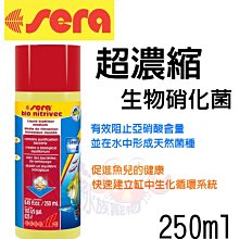 德系超聲波電動牙刷 音波牙刷 超音波波牙刷 電動牙刷 音波電動牙刷 歷史價格詳細信息
